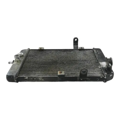 2001 YAMAHA RAPTOR 660R YFM660R RADIATOR 5LP-12461-00-00