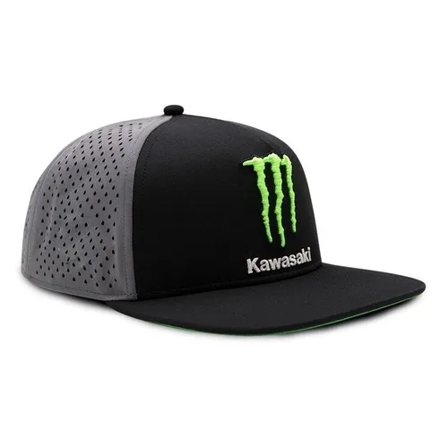 Monster hot sale flat cap