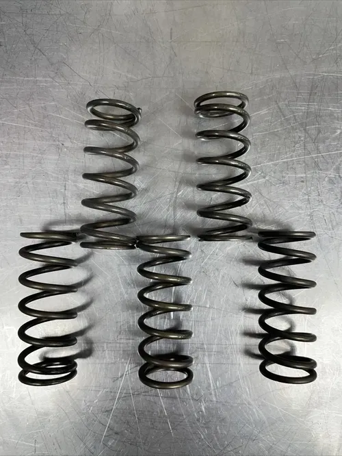 Hinson Hi-Temp Clutch Spring Kit 5 Springs (CS294-5-0109)