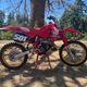shanedogg501