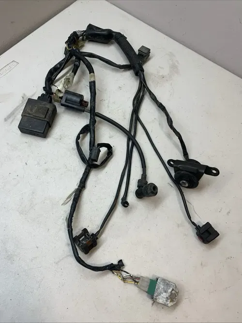 2004 Yamaha TTR125E OEM Wiring Harness CDI Coil Relay Regulator FOR PARTS ONLY!!