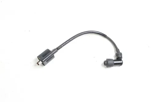 2007 Yamaha Ttr125E Ignition Coil B4447