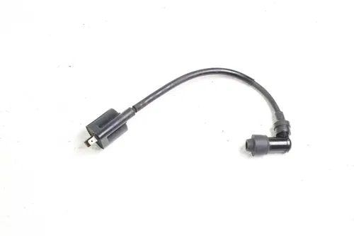 2007 Yamaha Ttr125E Ignition Coil B4447