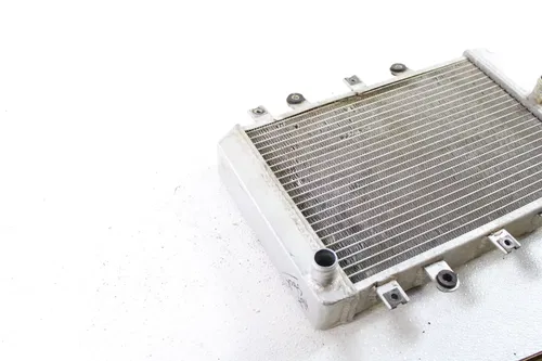 2008 YAMAHA GRIZZLY 700 ENGINE RADIATOR MOTOR COOLER COOLING RADIATER B4450