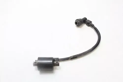 00 Yamaha Ttr125 Ignition Coil B4257
