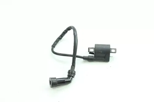 2003 Yamaha TTR225 Ignition Coil B4310