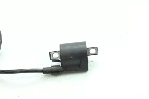 2003 Yamaha TTR225 Ignition Coil B4310