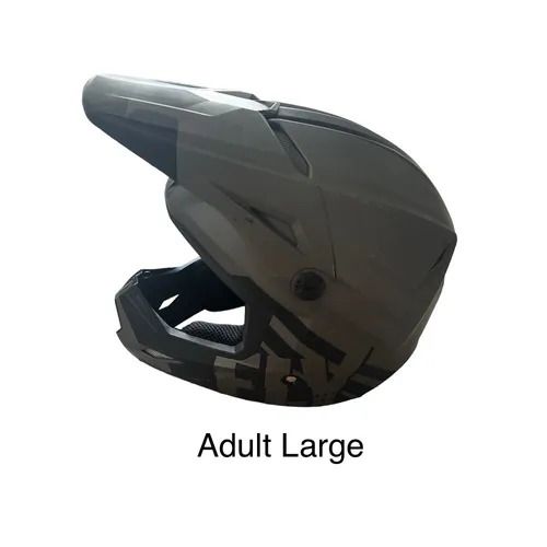 Fly Racing Adult Large Helmet 
