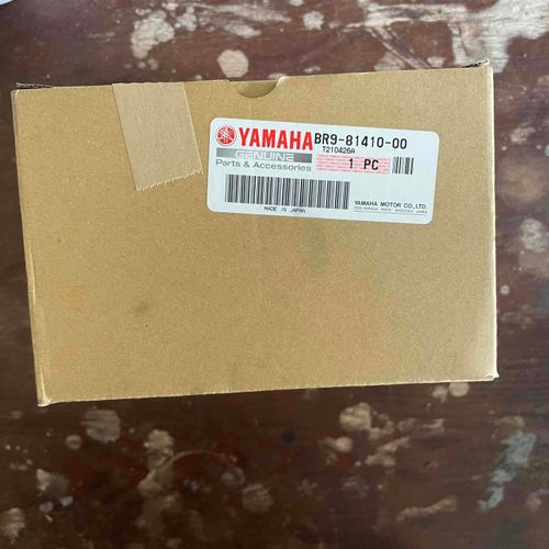 OEM Stator Assembly (RC19-10