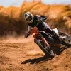 mxdavid212