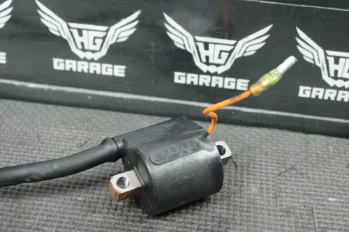 2006 YAMAHA 99-06 TTR250 OEM IGNITION COIL CDI 1UY-82310-41-00 GOOD!