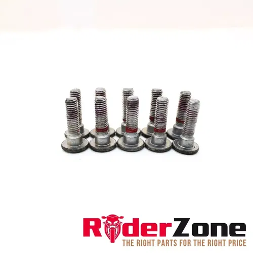 2015 - 2019 KAWASAKI NINJA ZX10R FRONT BRAKE ROTOR DISC HARDWARE BOLT SET SILVER