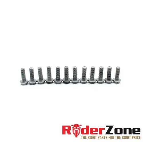 2020 - 2022 BMW S1000RR FRONT ROTOR BOLTS HARDWARE SET COMPLETE STRAIGHT STOCK