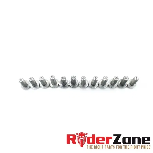 2020 - 2022 BMW S1000RR FRONT ROTOR BOLTS HARDWARE SET COMPLETE STRAIGHT STOCK