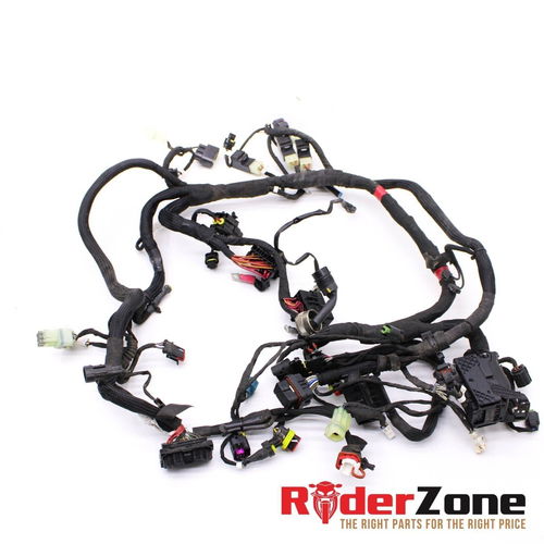 2020 - 2022 DUCATI PANIGALE V2 WIRING HARNESS MAIN WIRES ELECTRICAL *NO CUTS* OE