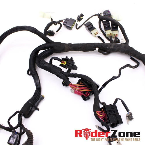 2020 - 2022 DUCATI PANIGALE V2 WIRING HARNESS MAIN WIRES ELECTRICAL *NO CUTS* OE