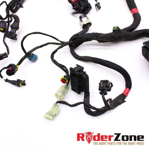 2020 - 2022 DUCATI PANIGALE V2 WIRING HARNESS MAIN WIRES ELECTRICAL *NO CUTS* OE