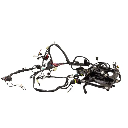 2016 - 2019 DUCATI PANIGALE 959 MAIN HARNESS WIRE LOOM *DAMAGED/FOR PARTS*