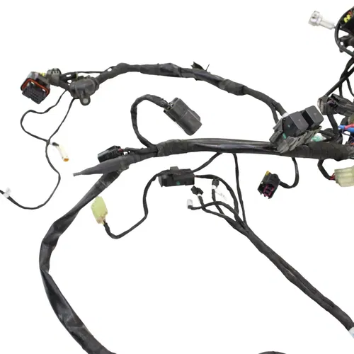 2016 - 2019 DUCATI PANIGALE 959 MAIN HARNESS WIRE LOOM *DAMAGED/FOR PARTS*