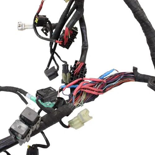 2016 - 2019 DUCATI PANIGALE 959 MAIN HARNESS WIRE LOOM *DAMAGED/FOR PARTS*