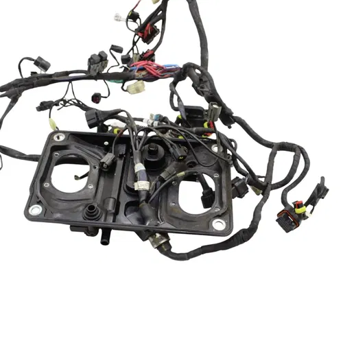 2016 - 2019 DUCATI PANIGALE 959 MAIN HARNESS WIRE LOOM *DAMAGED/FOR PARTS*