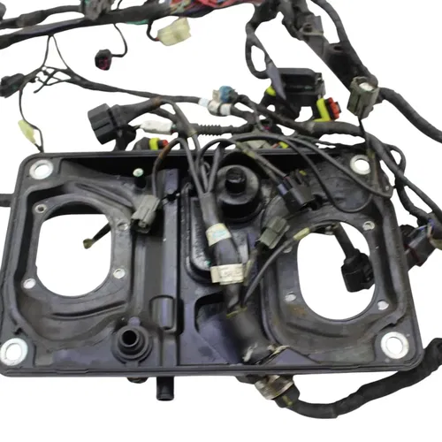 2016 - 2019 DUCATI PANIGALE 959 MAIN HARNESS WIRE LOOM *DAMAGED/FOR PARTS*