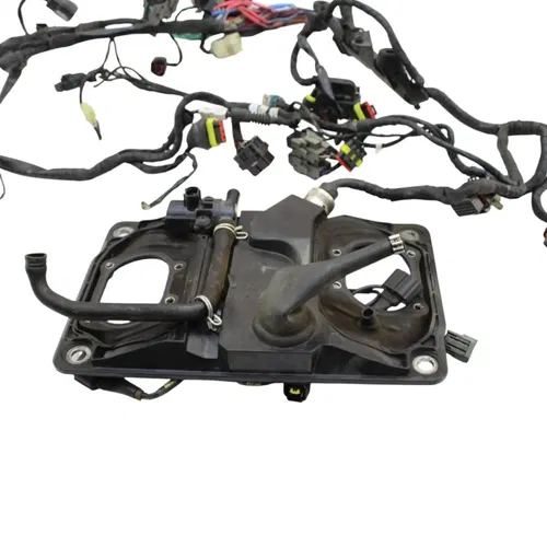 2016 - 2019 DUCATI PANIGALE 959 MAIN HARNESS WIRE LOOM *DAMAGED/FOR PARTS*