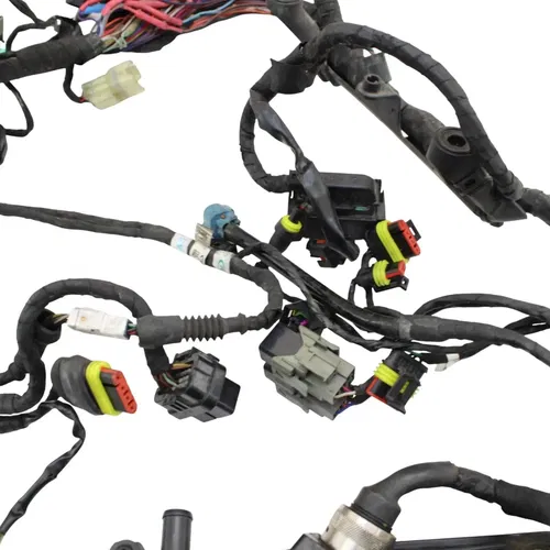 2016 - 2019 DUCATI PANIGALE 959 MAIN HARNESS WIRE LOOM *DAMAGED/FOR PARTS*