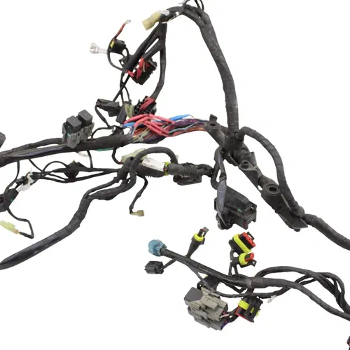 2016 - 2019 DUCATI PANIGALE 959 MAIN HARNESS WIRE LOOM *DAMAGED/FOR PARTS*