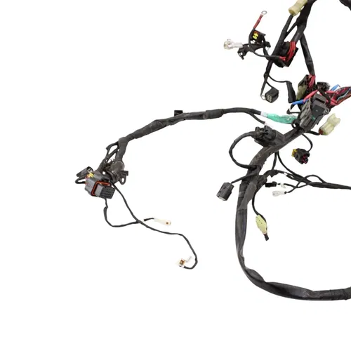 2016 - 2019 DUCATI PANIGALE 959 MAIN HARNESS WIRE LOOM *DAMAGED/FOR PARTS*
