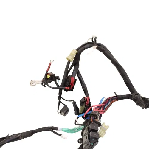 2016 - 2019 DUCATI PANIGALE 959 MAIN HARNESS WIRE LOOM *DAMAGED/FOR PARTS*