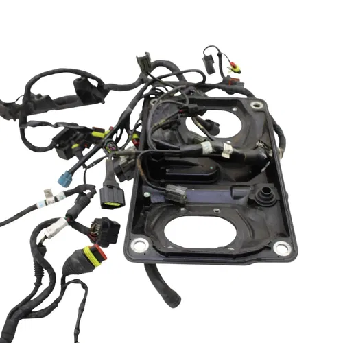 2016 - 2019 DUCATI PANIGALE 959 MAIN HARNESS WIRE LOOM *DAMAGED/FOR PARTS*