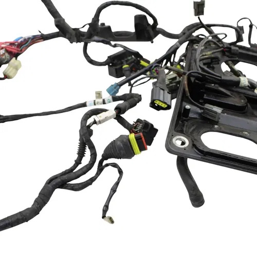 2016 - 2019 DUCATI PANIGALE 959 MAIN HARNESS WIRE LOOM *DAMAGED/FOR PARTS*
