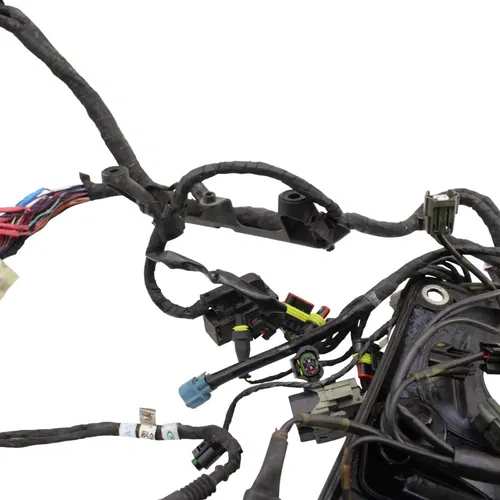 2016 - 2019 DUCATI PANIGALE 959 MAIN HARNESS WIRE LOOM *DAMAGED/FOR PARTS*