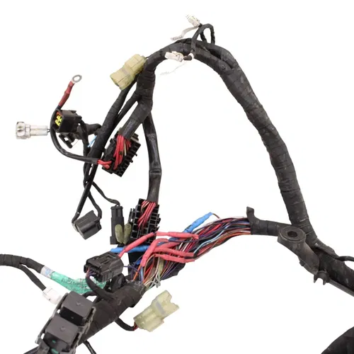 2016 - 2019 DUCATI PANIGALE 959 MAIN HARNESS WIRE LOOM *DAMAGED/FOR PARTS*