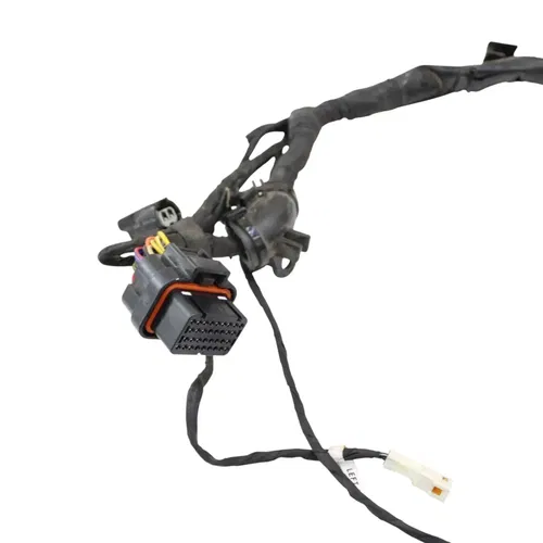 2016 - 2019 DUCATI PANIGALE 959 MAIN HARNESS WIRE LOOM *DAMAGED/FOR PARTS*