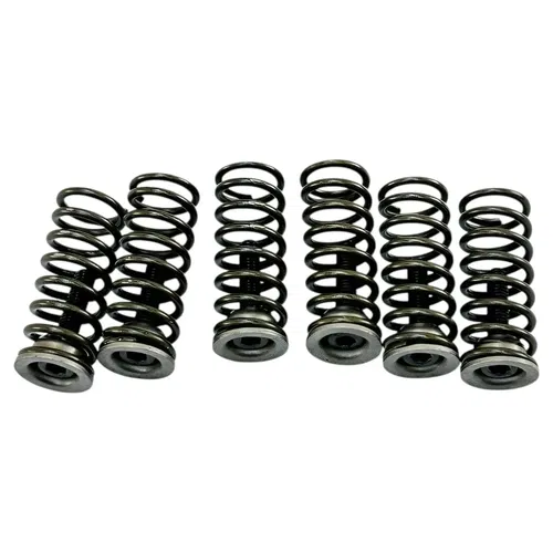 2015 2016 APRILIA RSV4 ENGINE CLUTCH ASSEMBLY SPRINGS GEARS STOCK OEM