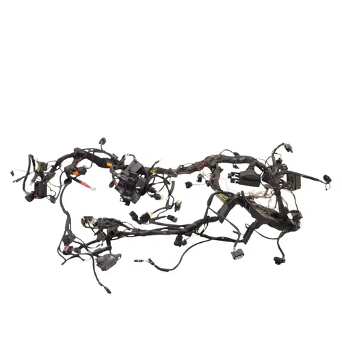 2020 - 2024 BMW S1000RR MAIN HARNESS ENGINE WIRING *DAMAGED* FOR PARTS