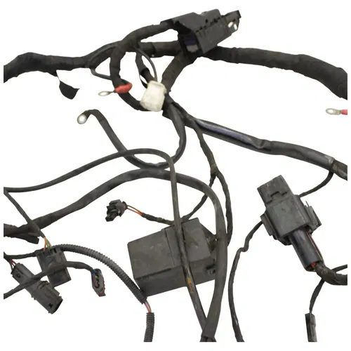 2016 - 2020 BMW R NINE T RACER R9T MAIN WIRING HARNESS LOOM OEM