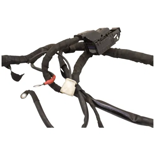 2016 - 2020 BMW R NINE T RACER R9T MAIN WIRING HARNESS LOOM OEM