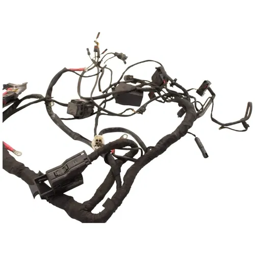 2016 - 2020 BMW R NINE T RACER R9T MAIN WIRING HARNESS LOOM OEM