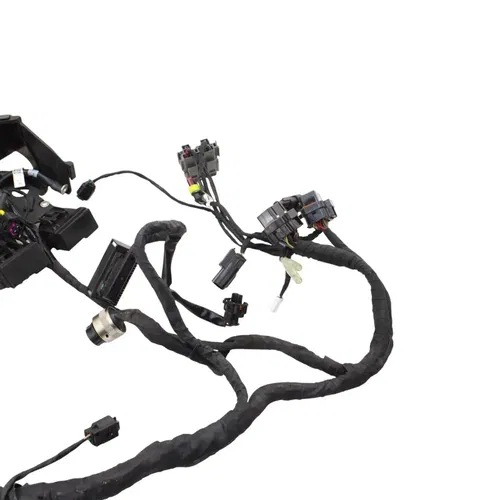 2016 - 2019 DUCATI PANIGALE 959 MAIN HARNESS ENGINE WIRE LOOM ELECTRICAL