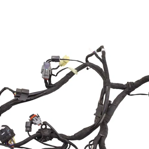 2016 - 2019 DUCATI PANIGALE 959 MAIN HARNESS ENGINE WIRE LOOM ELECTRICAL