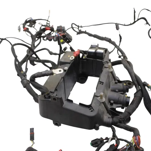 2018 - 2024 DUCATI PANIGALE V4 MAIN HARNESS WIRING WIRES ELECTRICAL NO CUTS