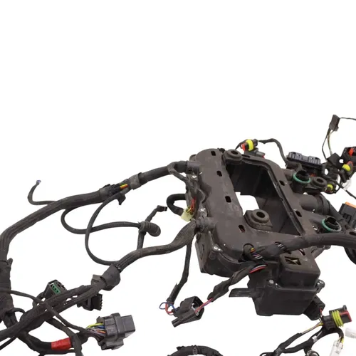 2018 - 2024 DUCATI PANIGALE V4 MAIN HARNESS WIRING WIRES ELECTRICAL NO CUTS