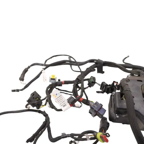 2018 - 2024 DUCATI PANIGALE V4 MAIN HARNESS WIRING WIRES ELECTRICAL NO CUTS