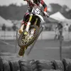 Toddmitchell73