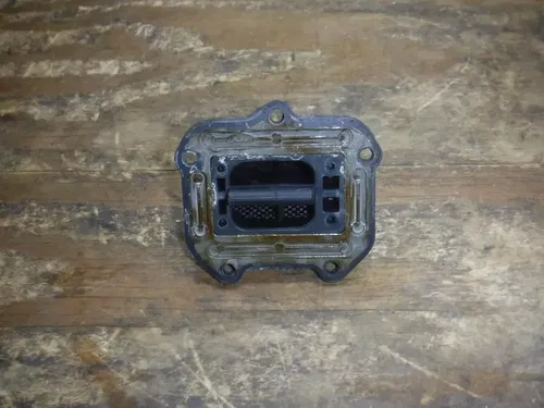 2005 KTM 200 EXC Reed Cage Carb Carburetor Petals Reeds