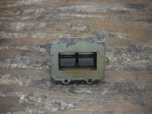 2000 Rm250 Reed Cage Carb Carburetor Petals Reeds 1996 1997 1998 1999 2000