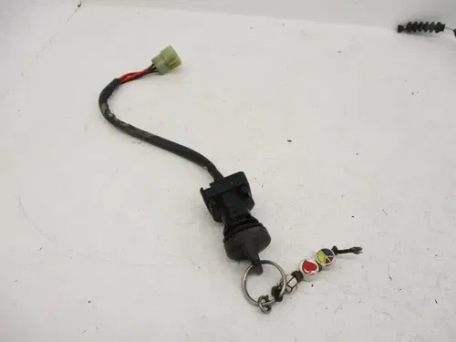 99 Polaris Trail Blazer 250 Ignition Key Switch 4110209 1999